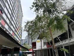 Lorong 1 Toa Payoh (D12), Shop House #531608241